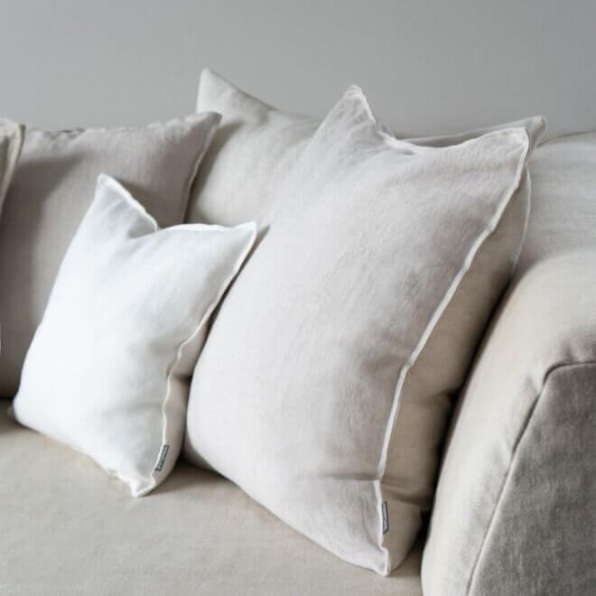 PAD_FW25_Proflax (2)