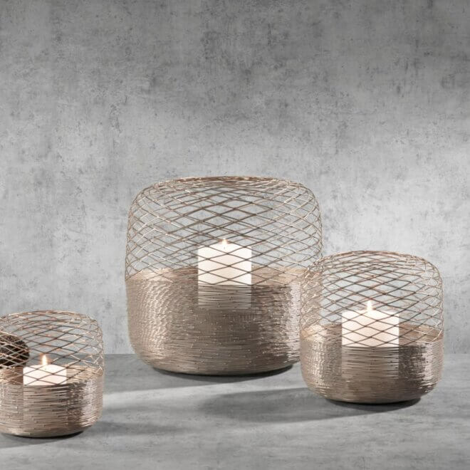 Fia_WL_Gold_Showfoto